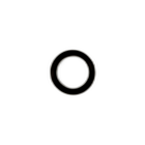 RING O FOR WATER HEATER FILTER HOUSING