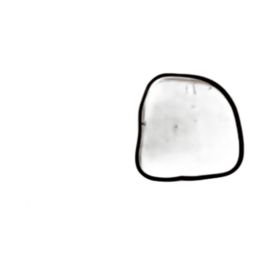 SEAL, GEARCASE