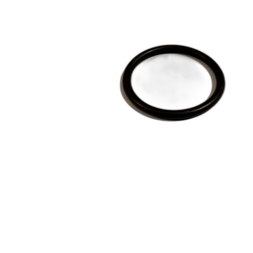 RING (OUTPUT FILTER COVER).