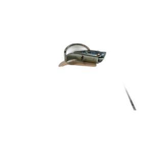 CLIP