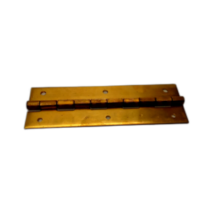 HINGE PANEL