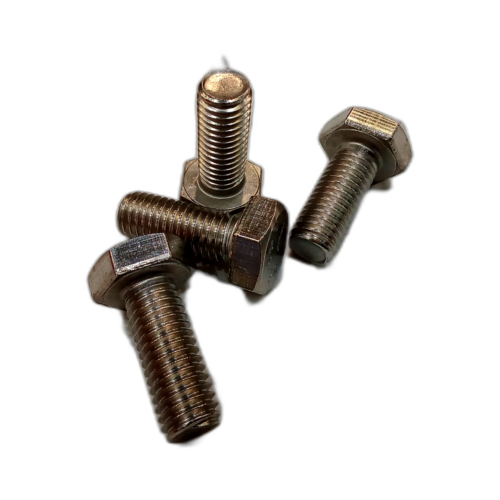 C50/C03/005 M10x25 Ss Bolt