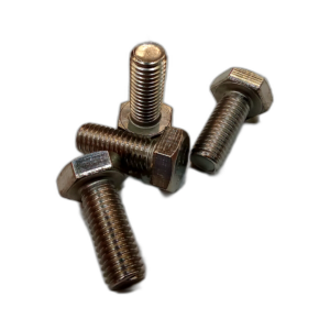 C50/C03/005 M10x25 Ss Bolt