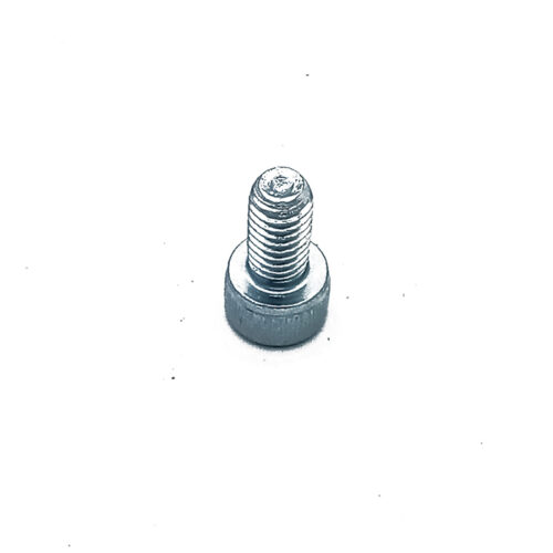 ROBEL SCREW HEXAGON SOCKET HEAD CAP