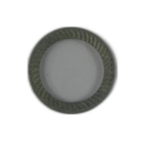 SCHNORR WASHER VS M12 ZINC