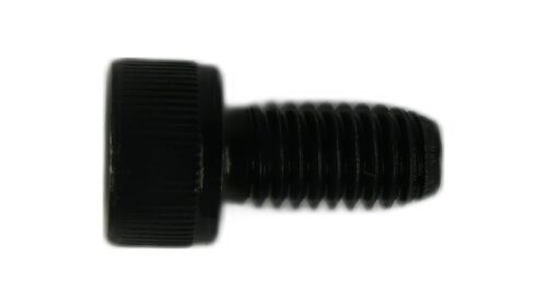 M6 X 12 SOCKET CAP SCREW SELF COLOUR DIN