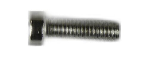 M6 X 20 LOW HEAD SOCKET CAP A2-70 DIN798
