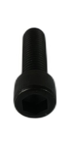 M12 X 40 SOCKET CAP SCREW SELF COLOUR DI