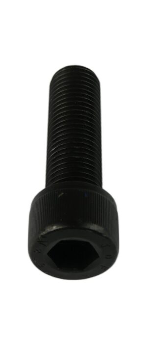 M30 X 100 SCKT CAPSCREW 12.9 SELF COLOUR
