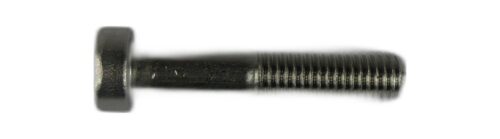 M10 X 50 SOCKET CAP SCREW LOW HEAD A2 DI