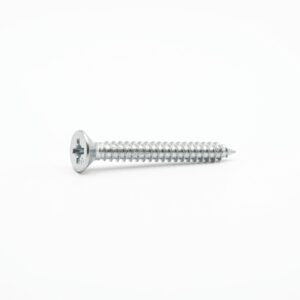 10 X 2 CSK POZI AB SELF TAPPER BZP (4.8